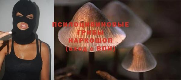 прущий лед Надым