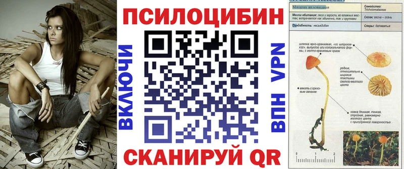 Галлюциногенные грибы MAGIC MUSHROOMS  Купить закладки  Каргат 